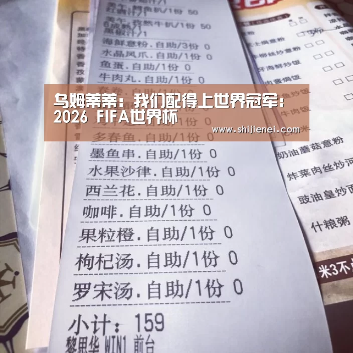 2026 FIFA世界杯